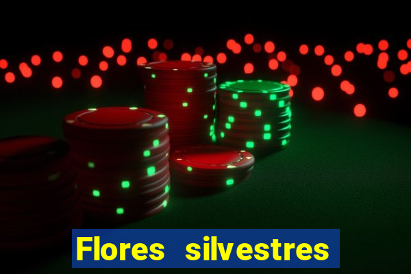 Flores silvestres brasileiras brasileiras flores silvestres nomes e imagens